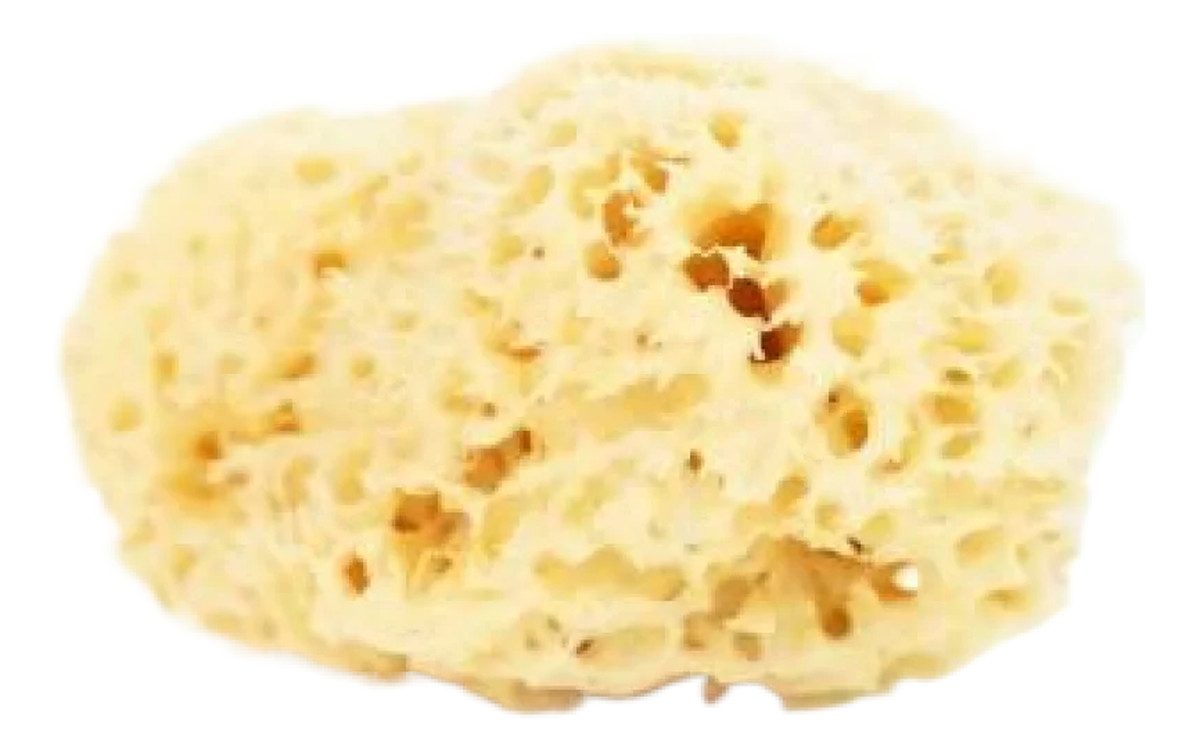 Naturalna gąbka morska do twarzy i ciała - size XL 11-13.5cm