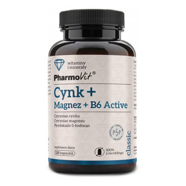Cynk + Magnez + B6 Active suplement diety 120 kapsułek
