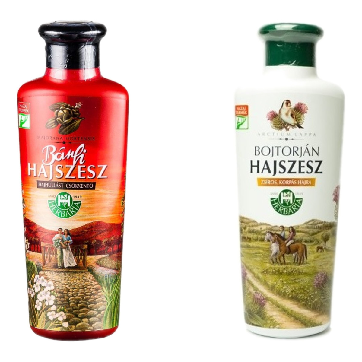 Banfi Herbaria Banfi Hajszesz Wcierka Klasyczna z Chrzanu i Gorczycy + Bojtorian z Łopianu 2x250ml