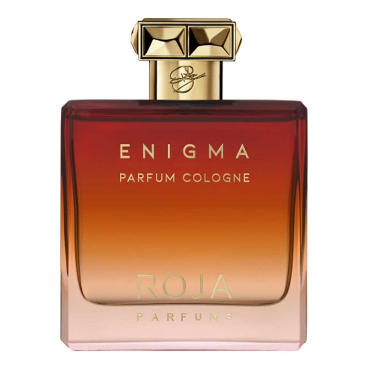 Roja Parfums Enigma Pour Homme Woda kolońska spray 100ml