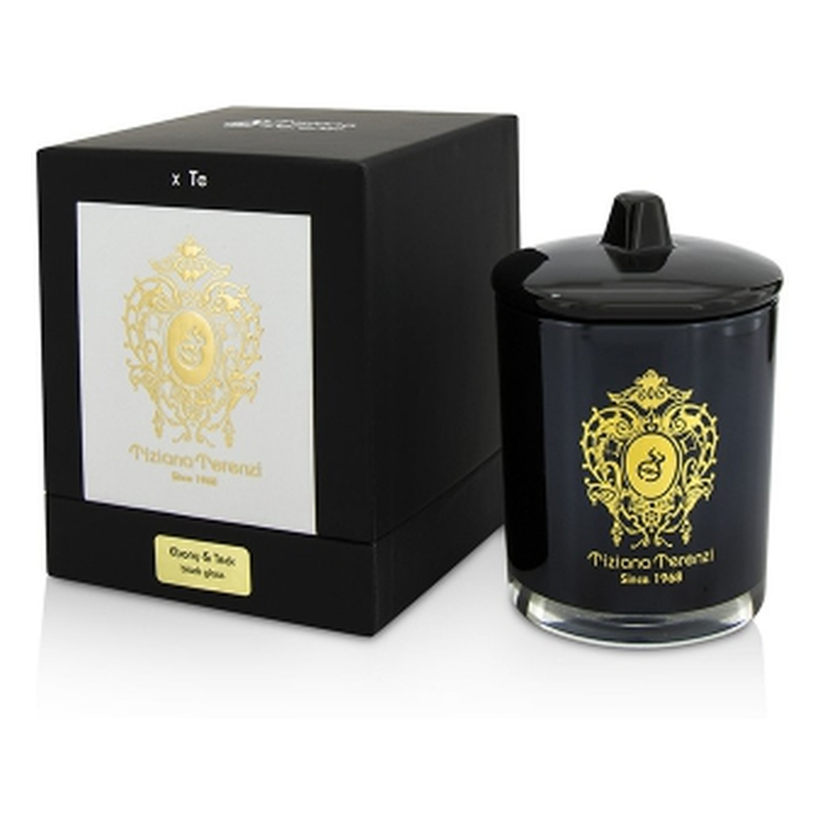 Tiziana Terenzi Ebony and Teck świeca zapachowa 170g