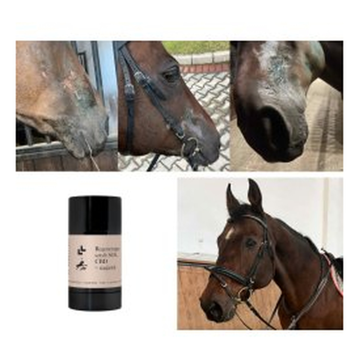 Lullalove Regenerujący Sztyft SOS CBD + Nagietek 50g