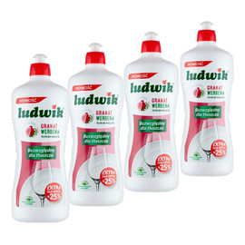 Płyn do naczyń Granat Werbena 4x900g