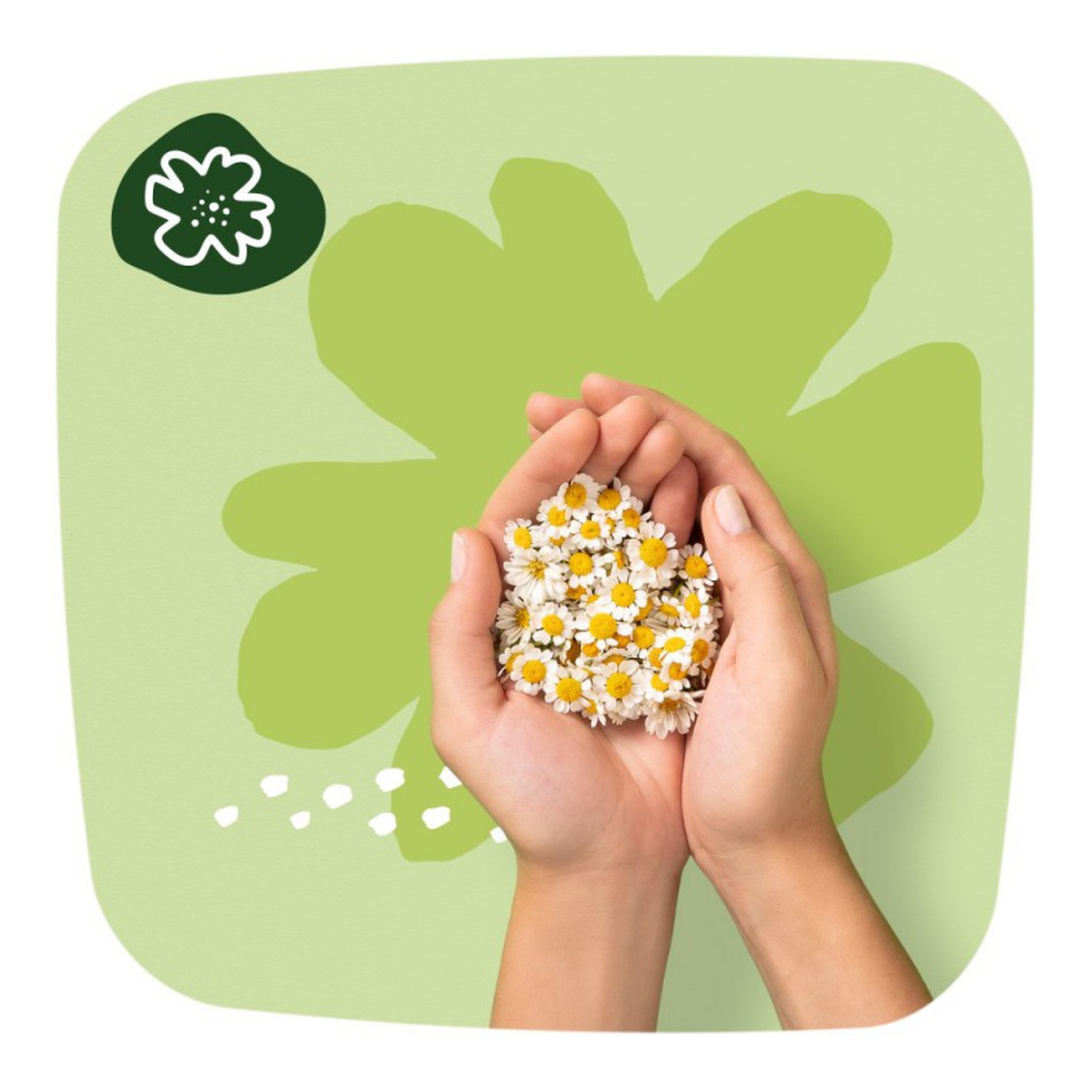 Naturella Classic Podpaski Normal ze skrzydełkami 1 op.-10 sztuk