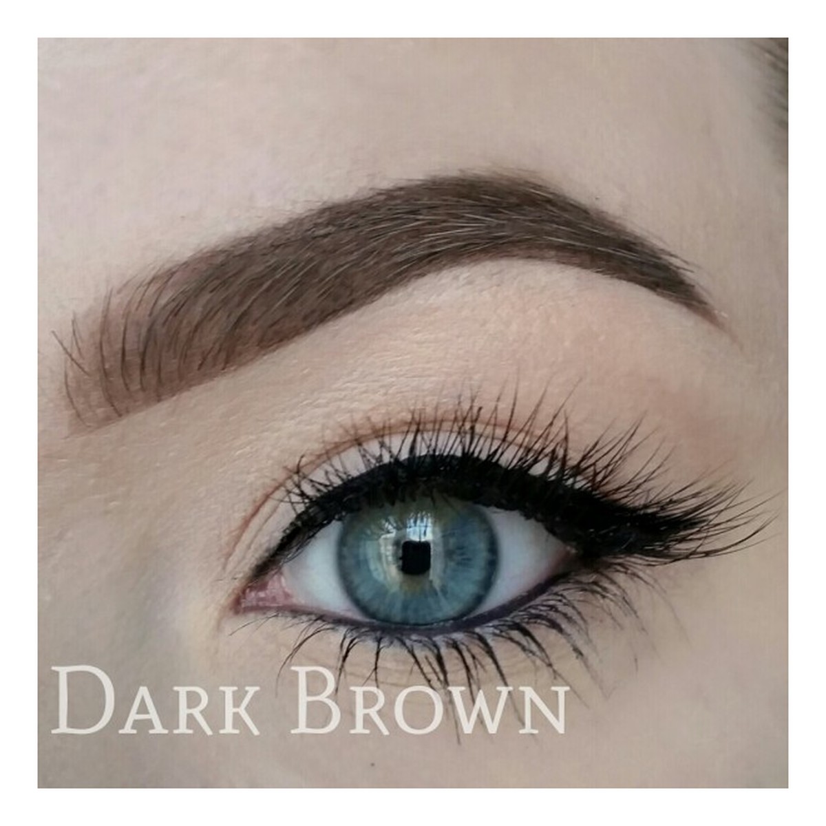 Freedom Makeup Pro Brow Pomade Pomada do brwi