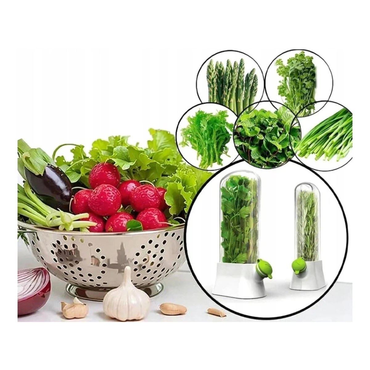 Ecarla Pojemnik Do Przechowywania Świeżych Ziół, Na Miętę, Warzywa Do Lodówki POJ09