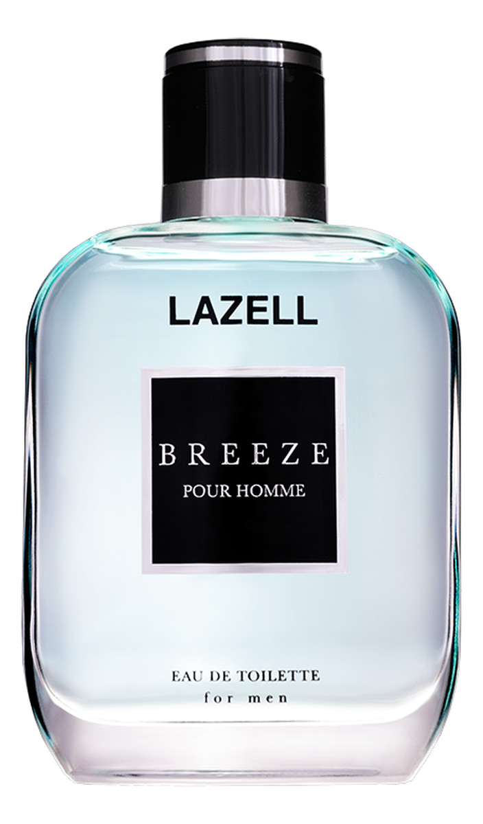 Breeze Pour Homme Men EDT spray Woda Toaletowa