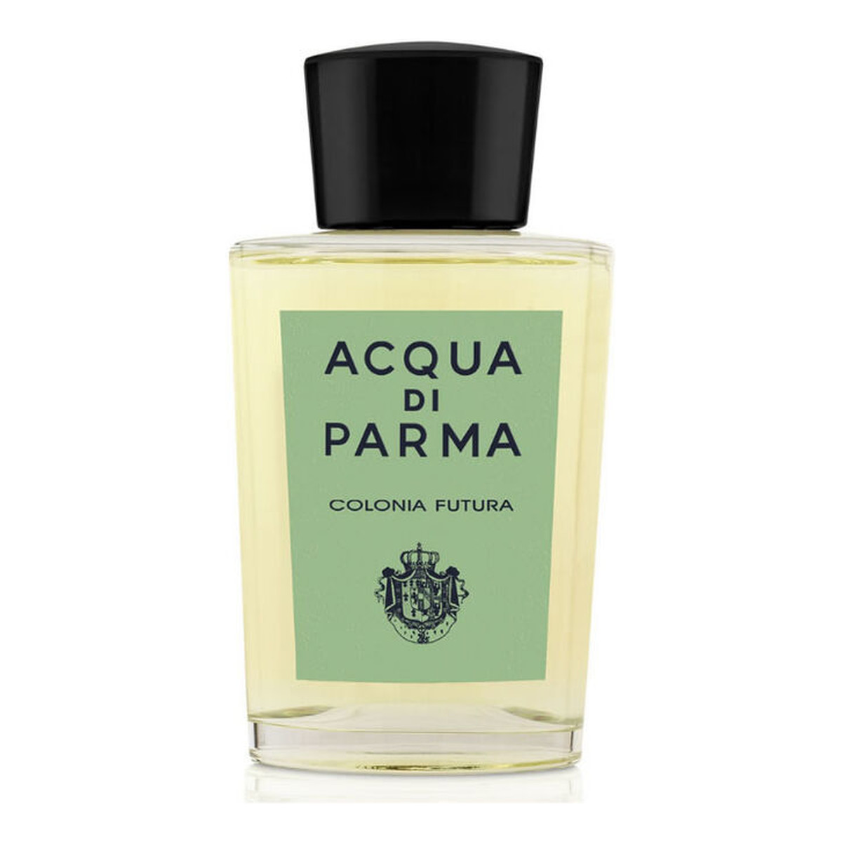 Acqua Di Parma Colonia Futura Woda kolońska spray 180ml