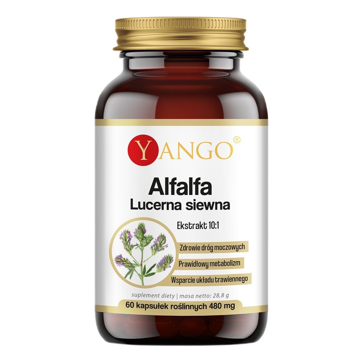 Yango Alfalfa lucerna siewna 480 mg suplement diety 60 kapsułek