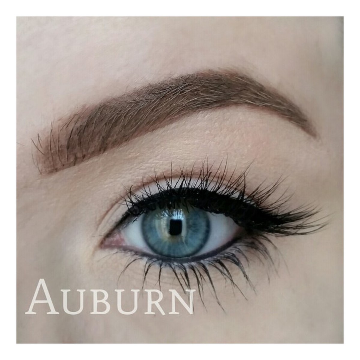 Freedom Makeup Pro Brow Pomade Pomada do brwi