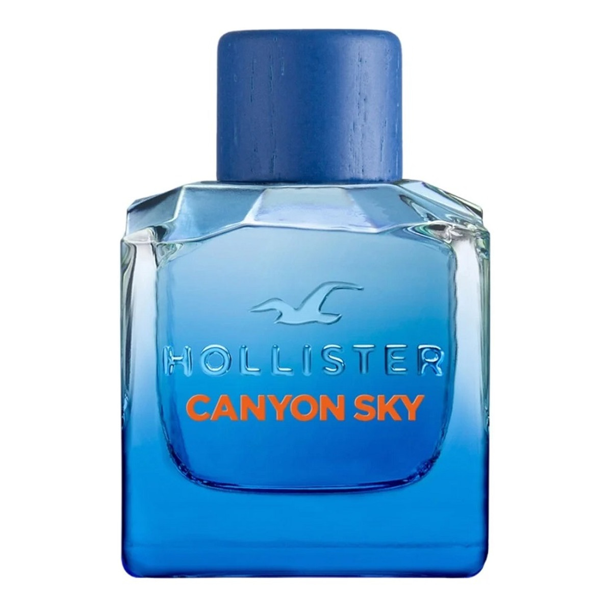 Hollister Canyon Sky For Him woda toaletowa spray 100ml