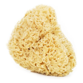 Naturalna gąbka morska do twarzy i ciała - super size XXL 13,5-16,5cm