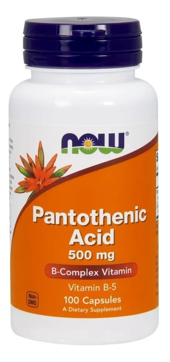 Pantothenic acid 500mg suplement diety 100 kapsułek