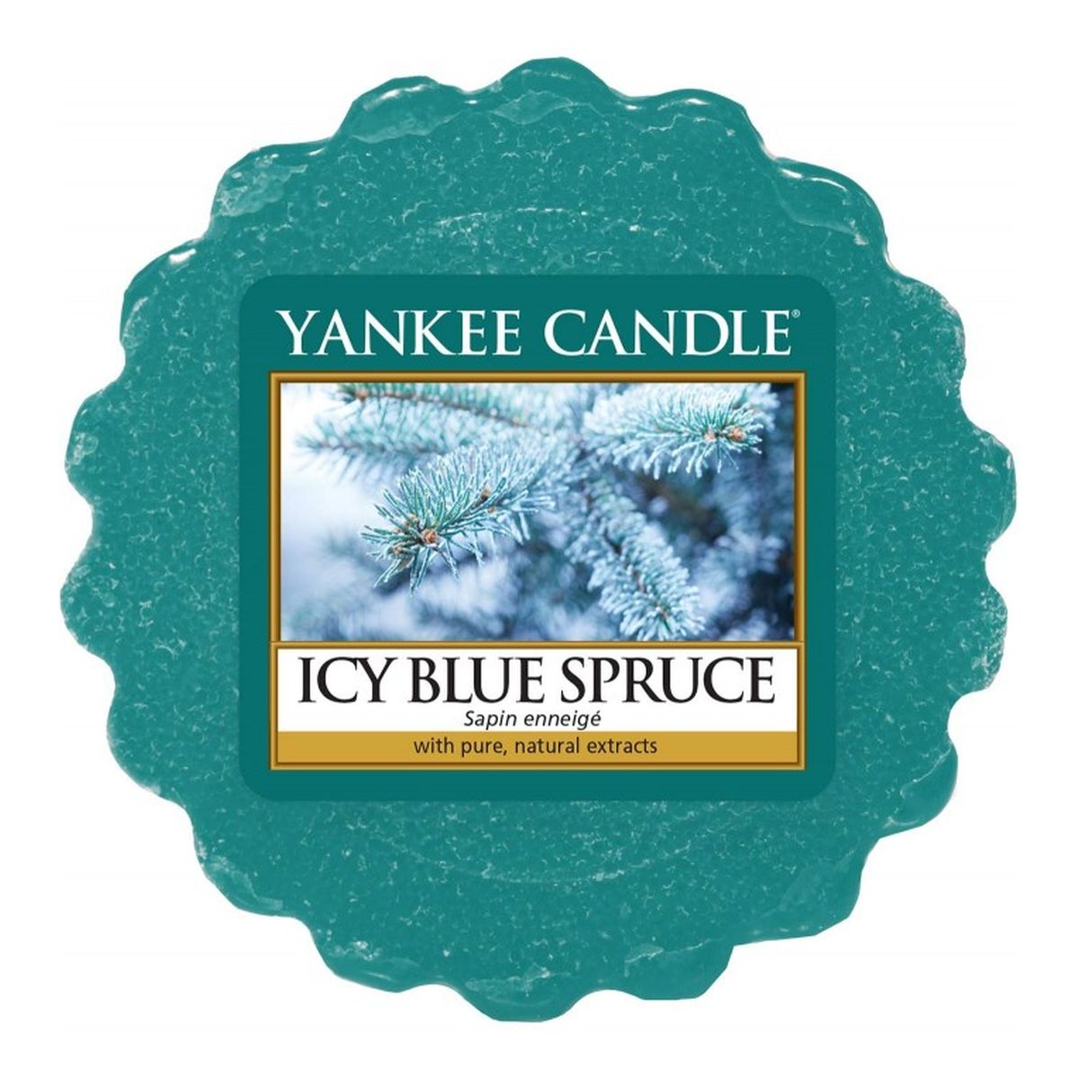 Yankee Candle Wax wosk zapachowy Icy Blue Spruce 22g