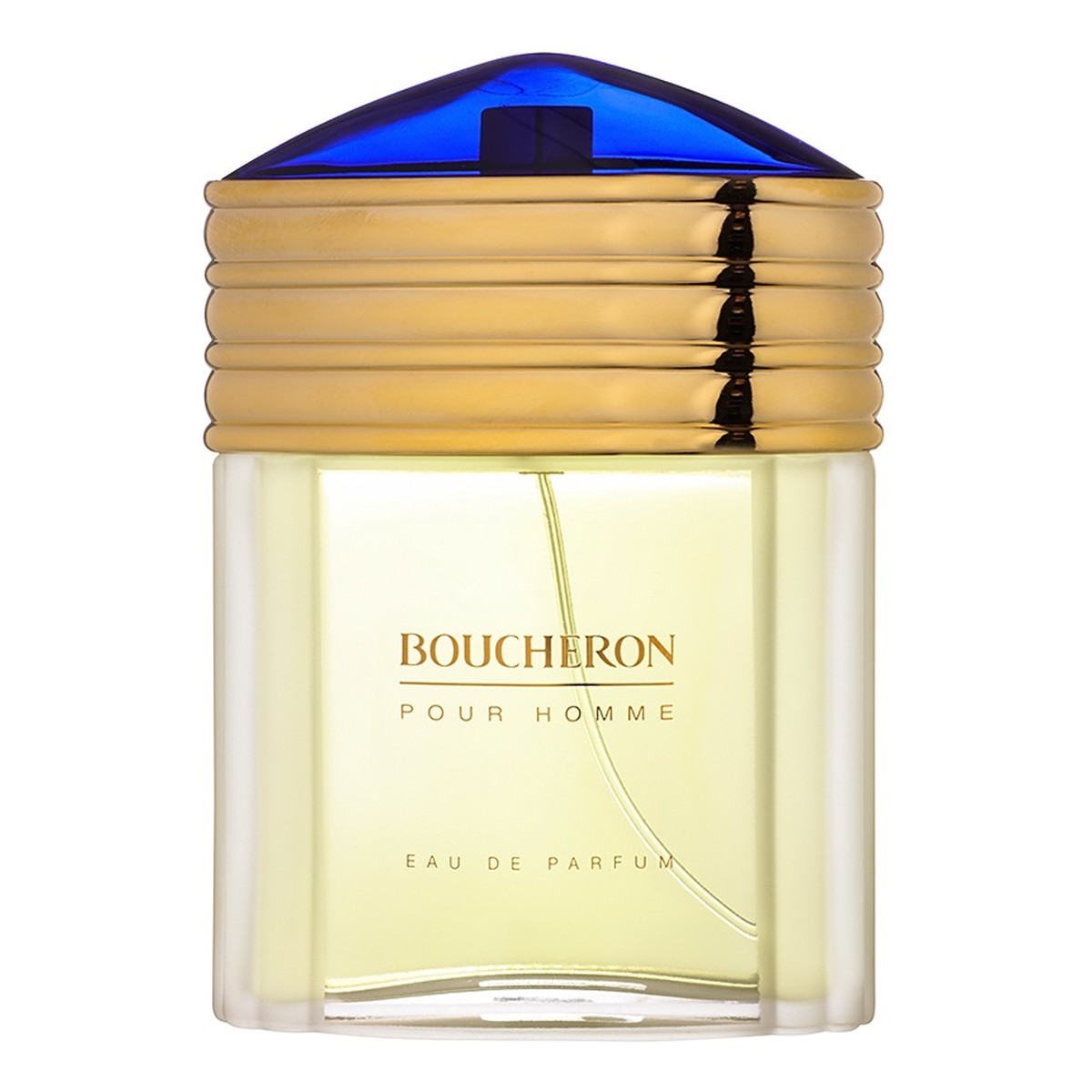 Boucheron Pour Homme woda perfumowana dla mężczyzn 100ml