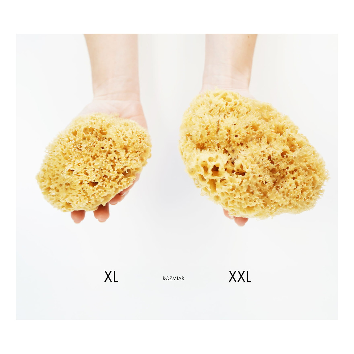 Lullalove Honeycomb Naturalna gąbka morska do twarzy i ciała - super size XXL 13,5-16,5cm