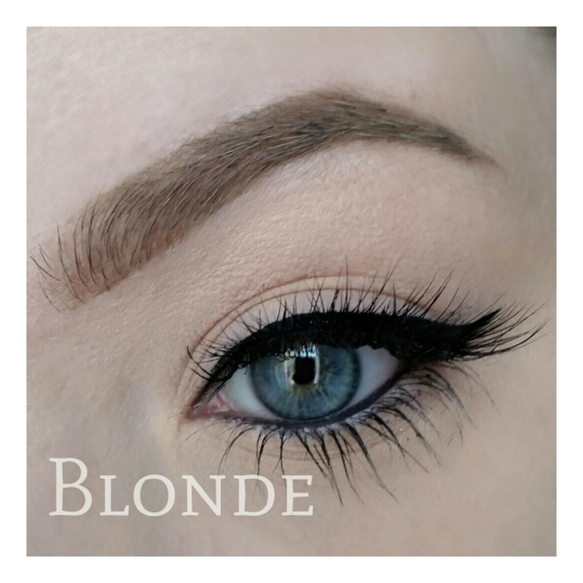Freedom Makeup Pro Brow Pomade Pomada do brwi