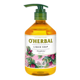 Raspberry — купити в інтернет-магазині BROCARD з доставкою по Україні