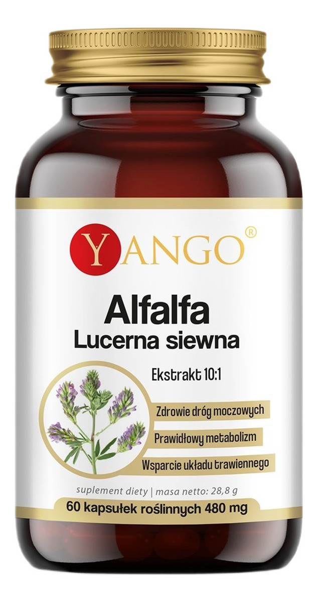 Alfalfa lucerna siewna 480 mg suplement diety 60 kapsułek