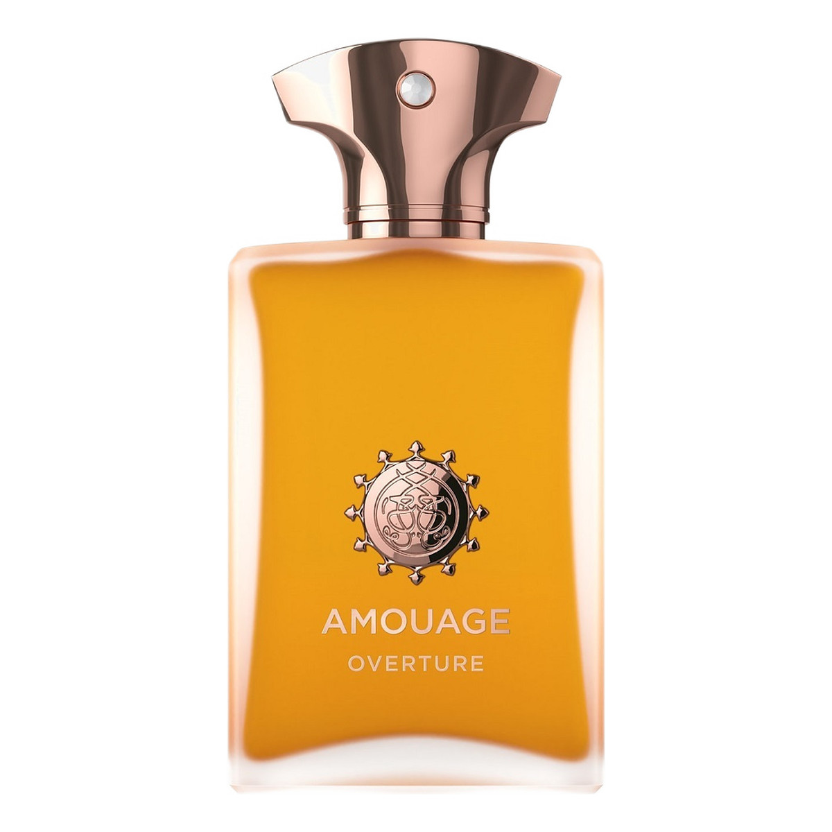 Amouage Overture Man Woda perfumowana spray 100ml