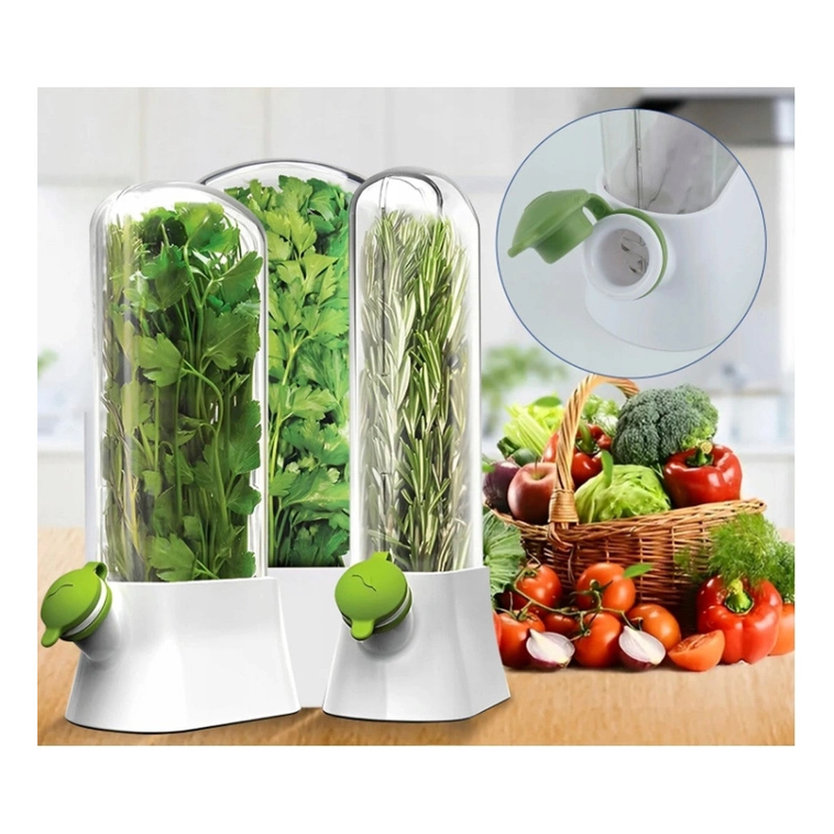 Ecarla Pojemnik Do Przechowywania Świeżych Ziół, Na Miętę, Warzywa Do Lodówki POJ09