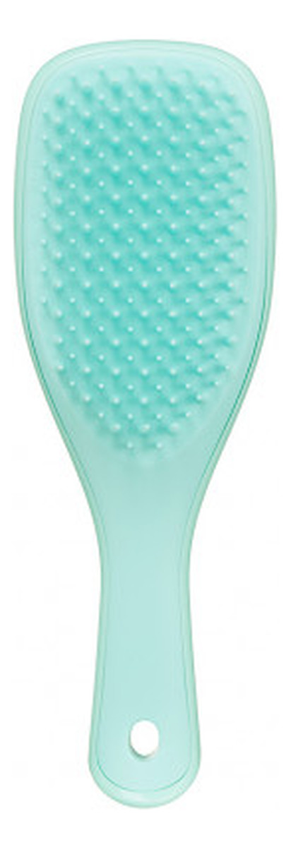 The wet detangler mini szczotka do włosów sea green