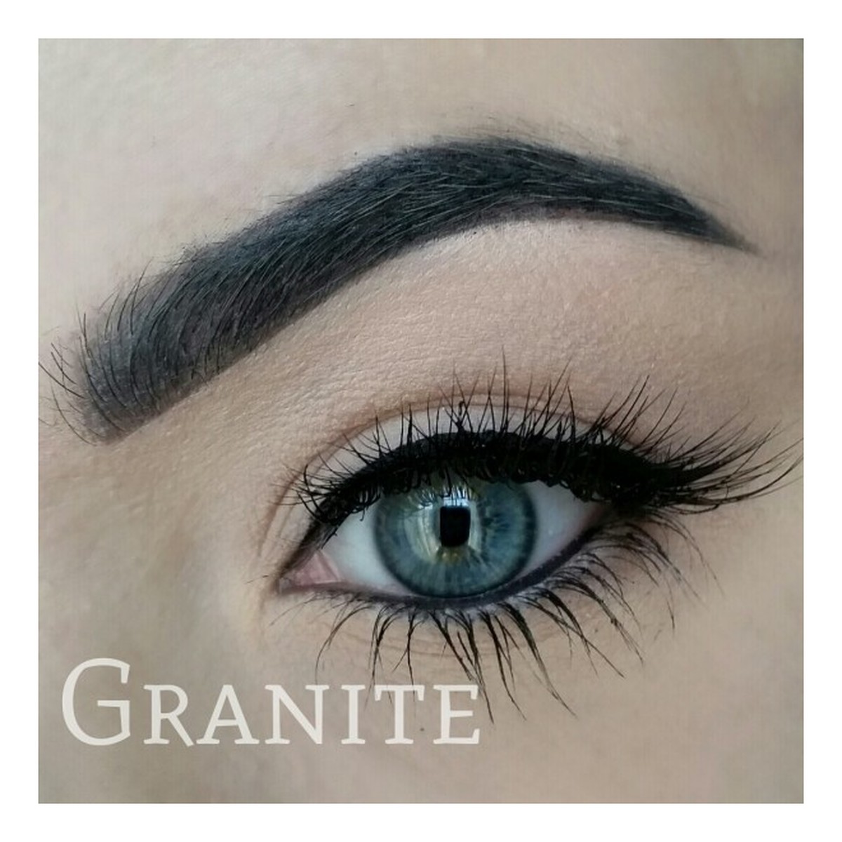 Freedom Makeup Pro Brow Pomade Pomada do brwi