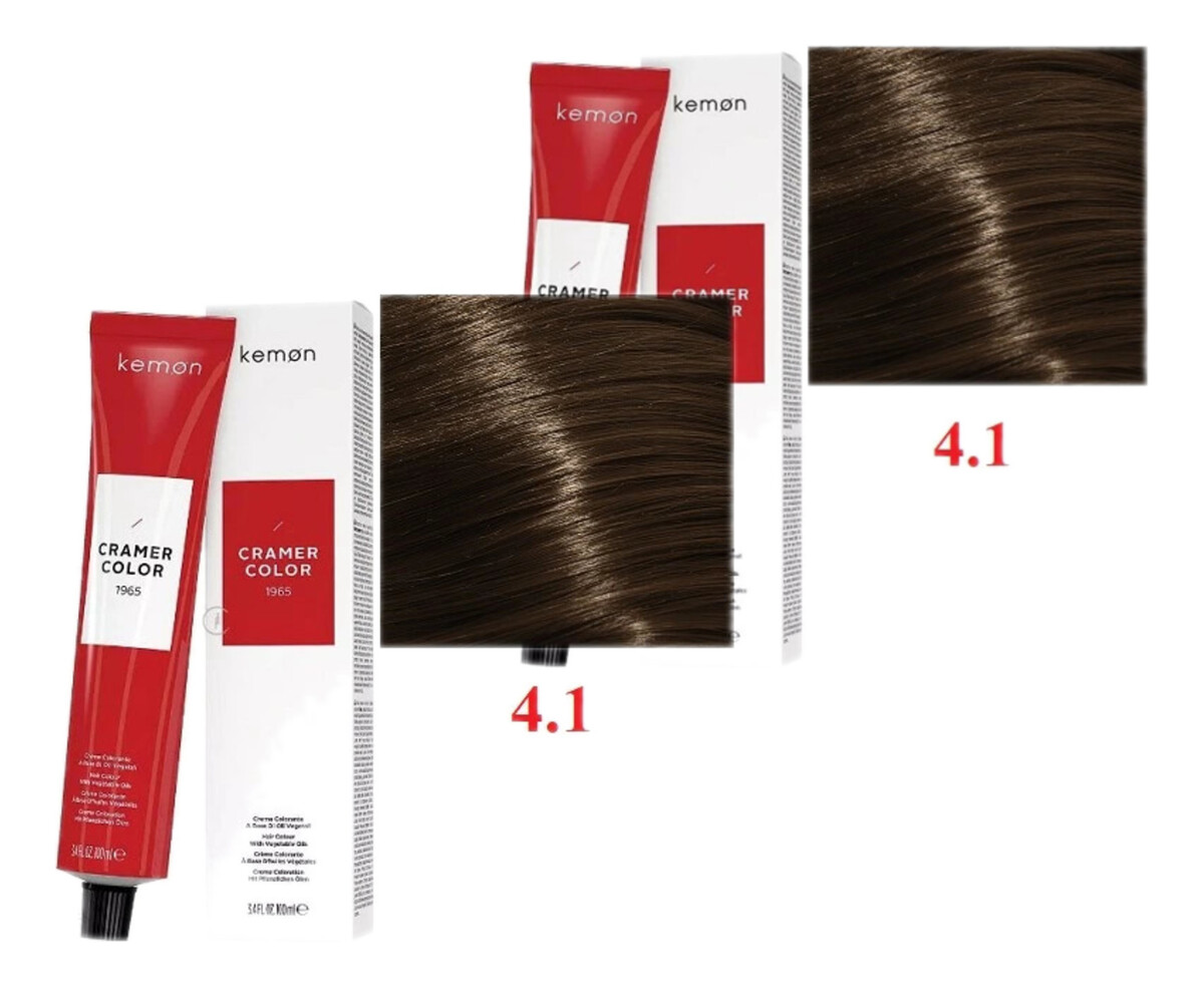 Kremowa farba do włosów Ash Brown 4.1 100mlx2