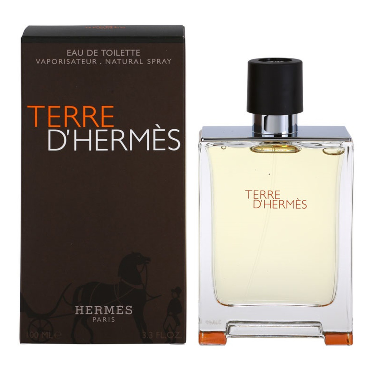 Hermes Terre d'Hermes woda toaletowa dla mężczyzn 100ml