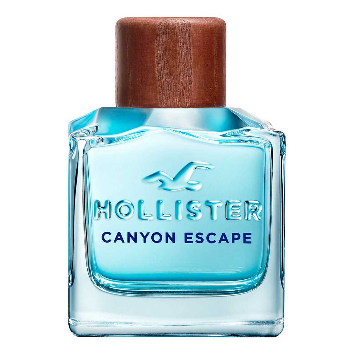 Hollister Canyon Escape For Him Woda toaletowa spray 100ml