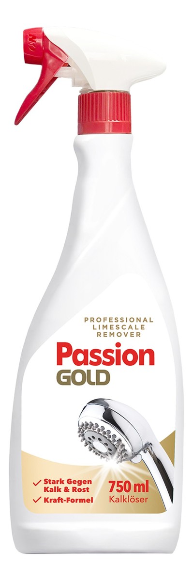 Płyn do usuwania kamienia i rdzy w sprayu Professional