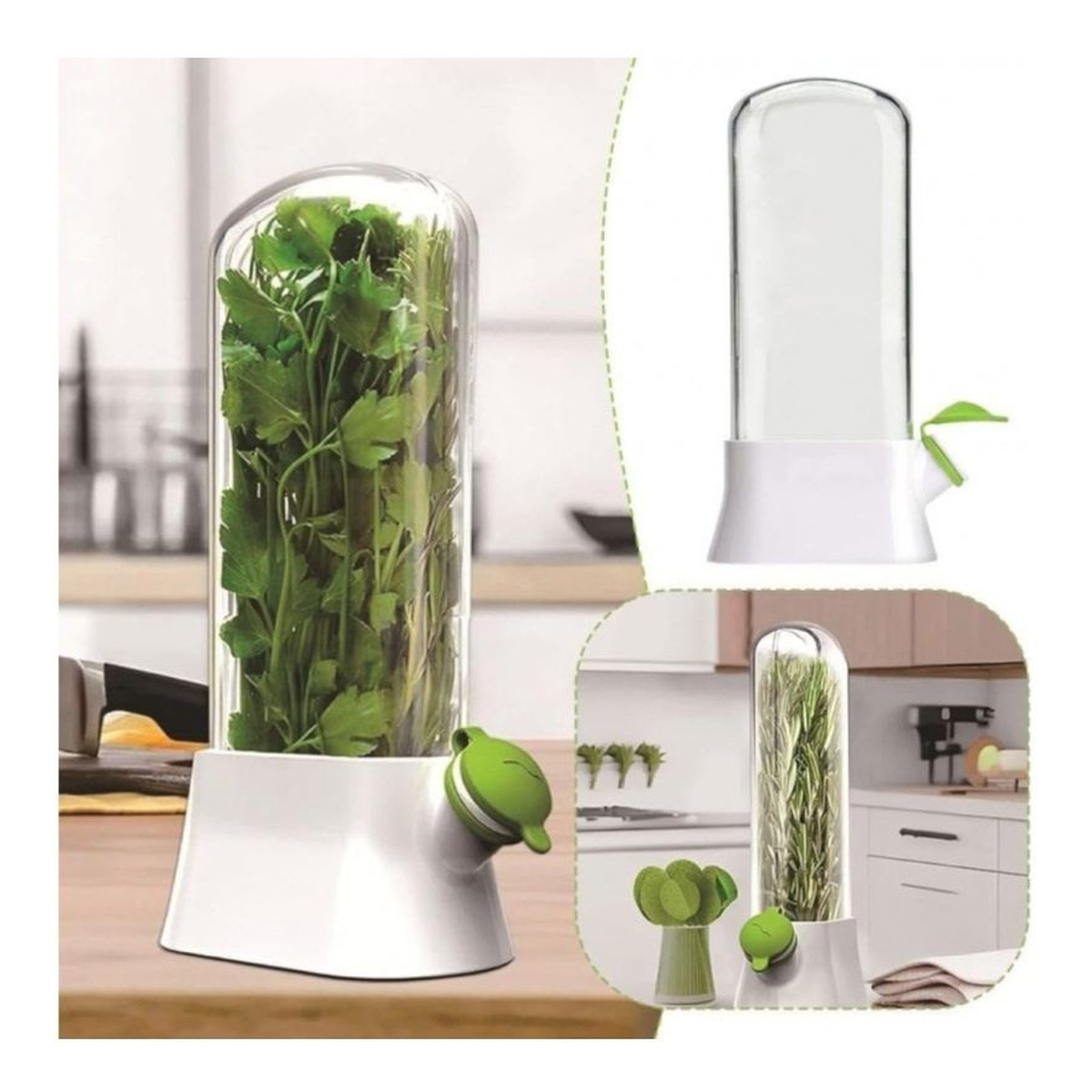 Ecarla Pojemnik Do Przechowywania Świeżych Ziół, Na Miętę, Warzywa Do Lodówki POJ09