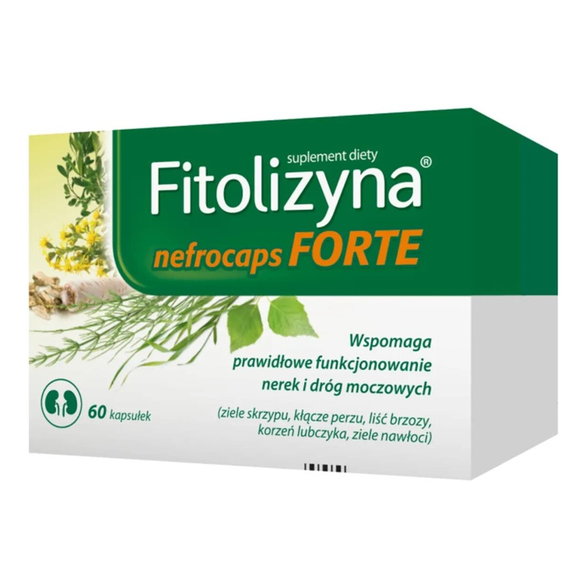 Fitolizyna Nefrocaps forte suplement diety 60 kapsułek