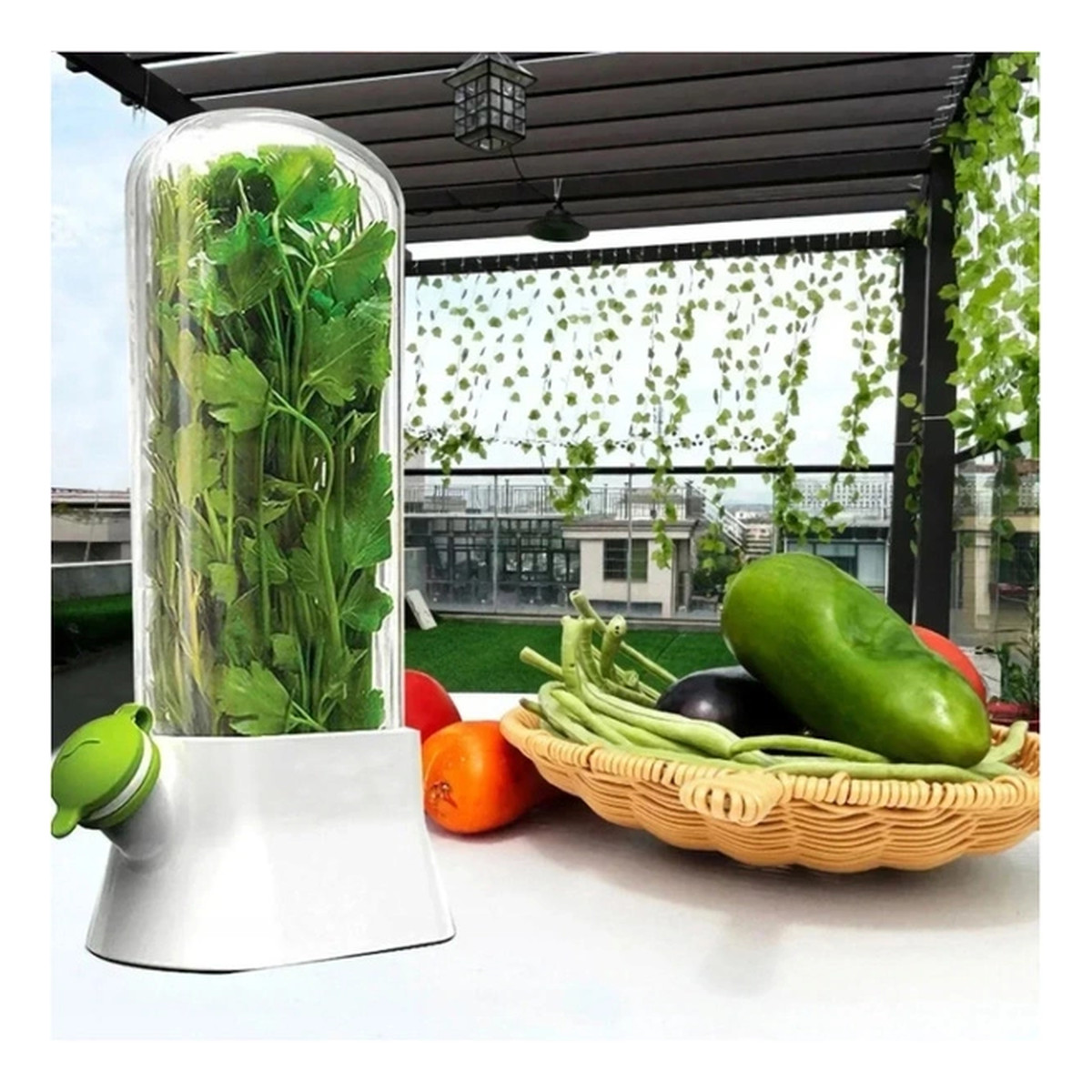 Ecarla Pojemnik Do Przechowywania Świeżych Ziół, Na Miętę, Warzywa Do Lodówki POJ09