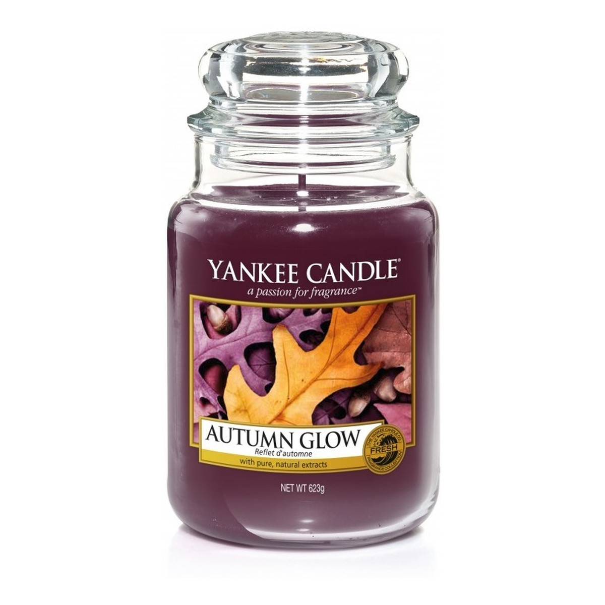 Yankee Candle Large Jar duża Świeca zapachowa Autumn Glow 623g