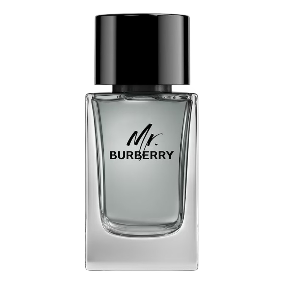 Burberry Mr. Burberry Woda toaletowa spray 100ml