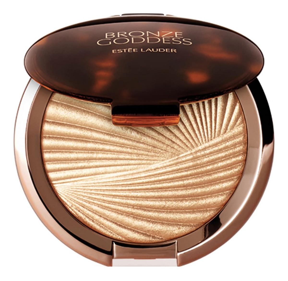 Highlighting Powder Gelee puder rozświetlający