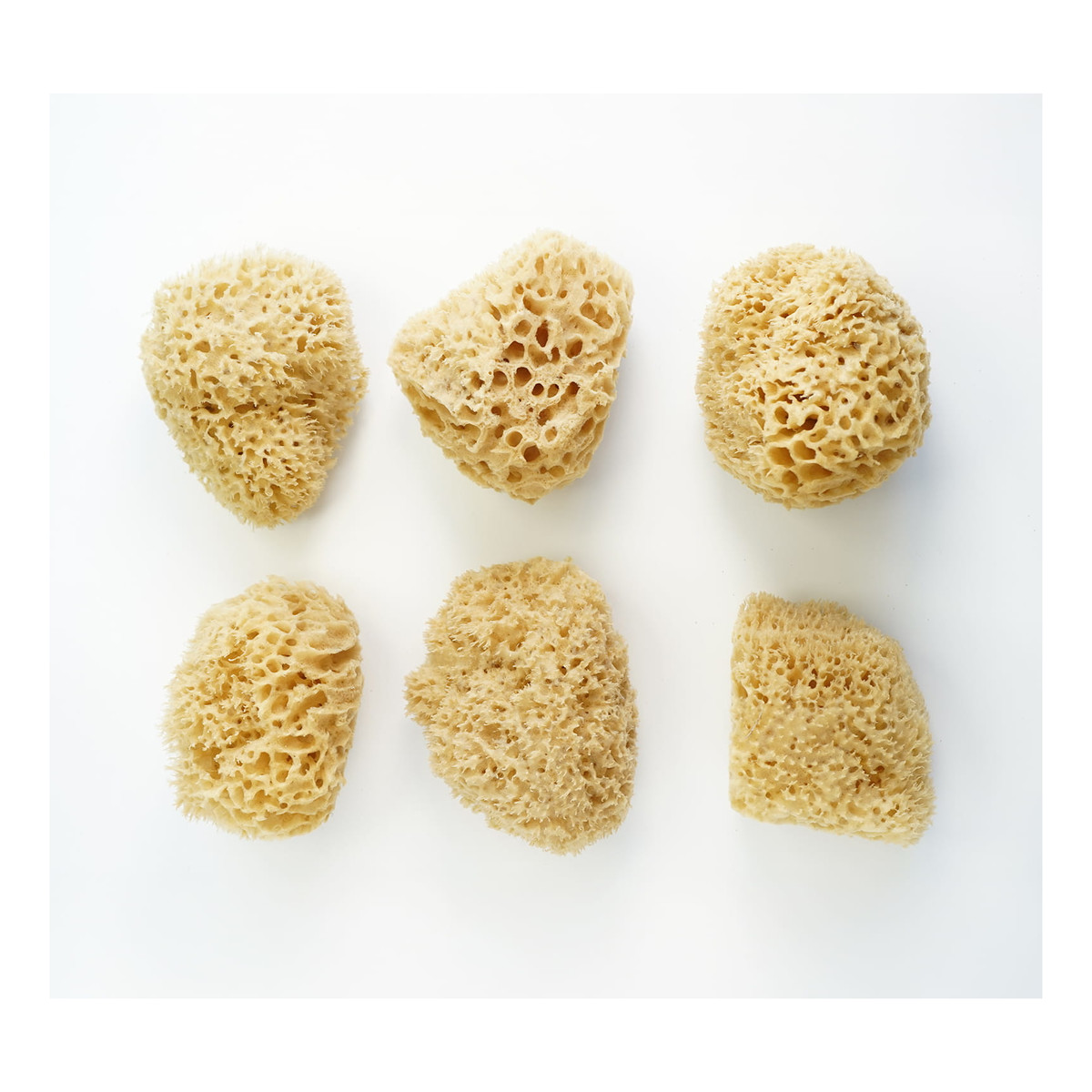 Lullalove Honeycomb Naturalna gąbka morska do twarzy i ciała - super size XXL 13,5-16,5cm