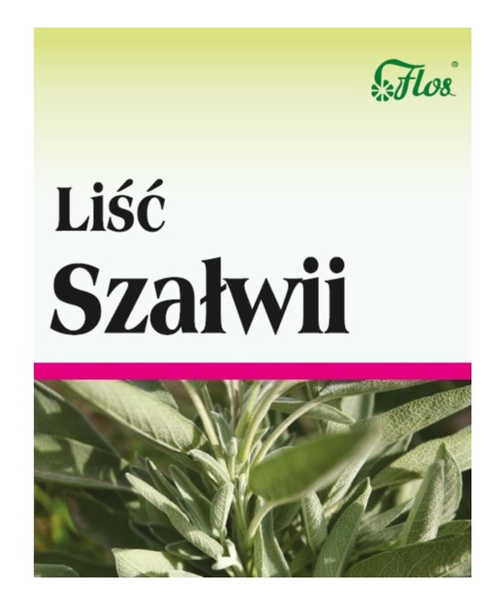 Liść Szałwii