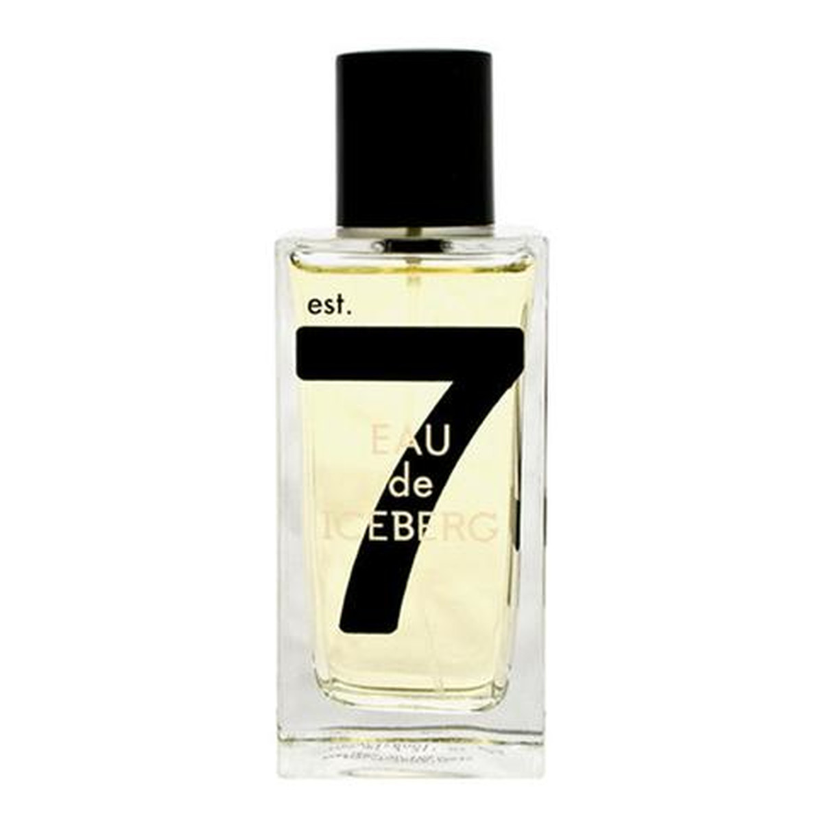 Iceberg Est.74 woda toaletowa dla mężczyzn 100ml