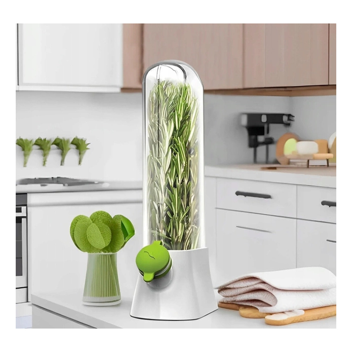 Ecarla Pojemnik Do Przechowywania Świeżych Ziół, Na Miętę, Warzywa Do Lodówki POJ09