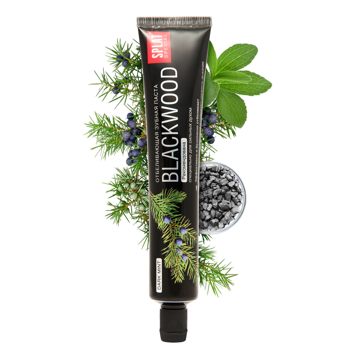 Splat Blackwood Special Czarna Pasta Do Zębów Silne Wybielanie i Normalizacja pH Jamy Ustnej 75ml