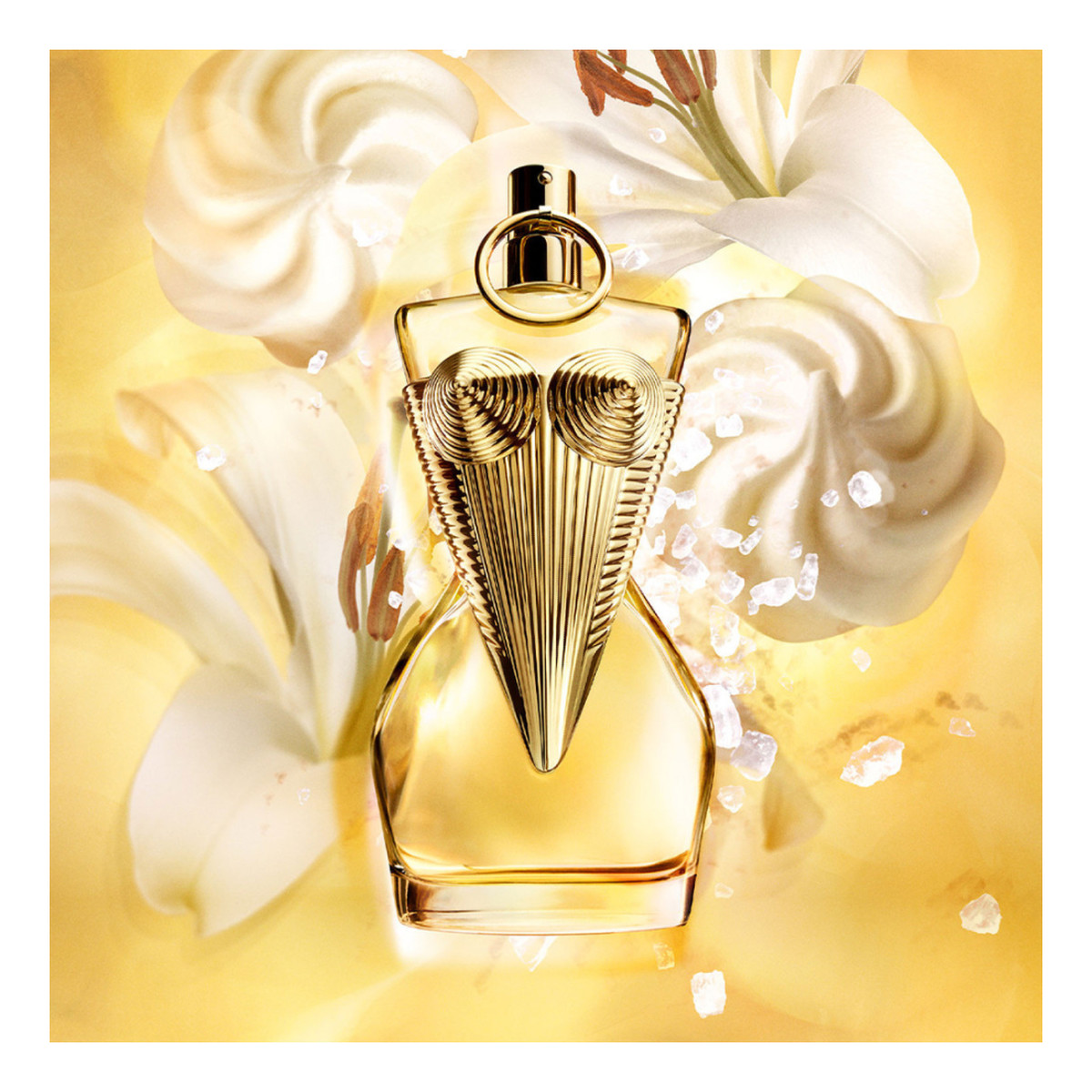 Jean Paul Gaultier Gaultier Divine zestaw woda perfumowana spray 50ml + woda perfumowana spray 10ml