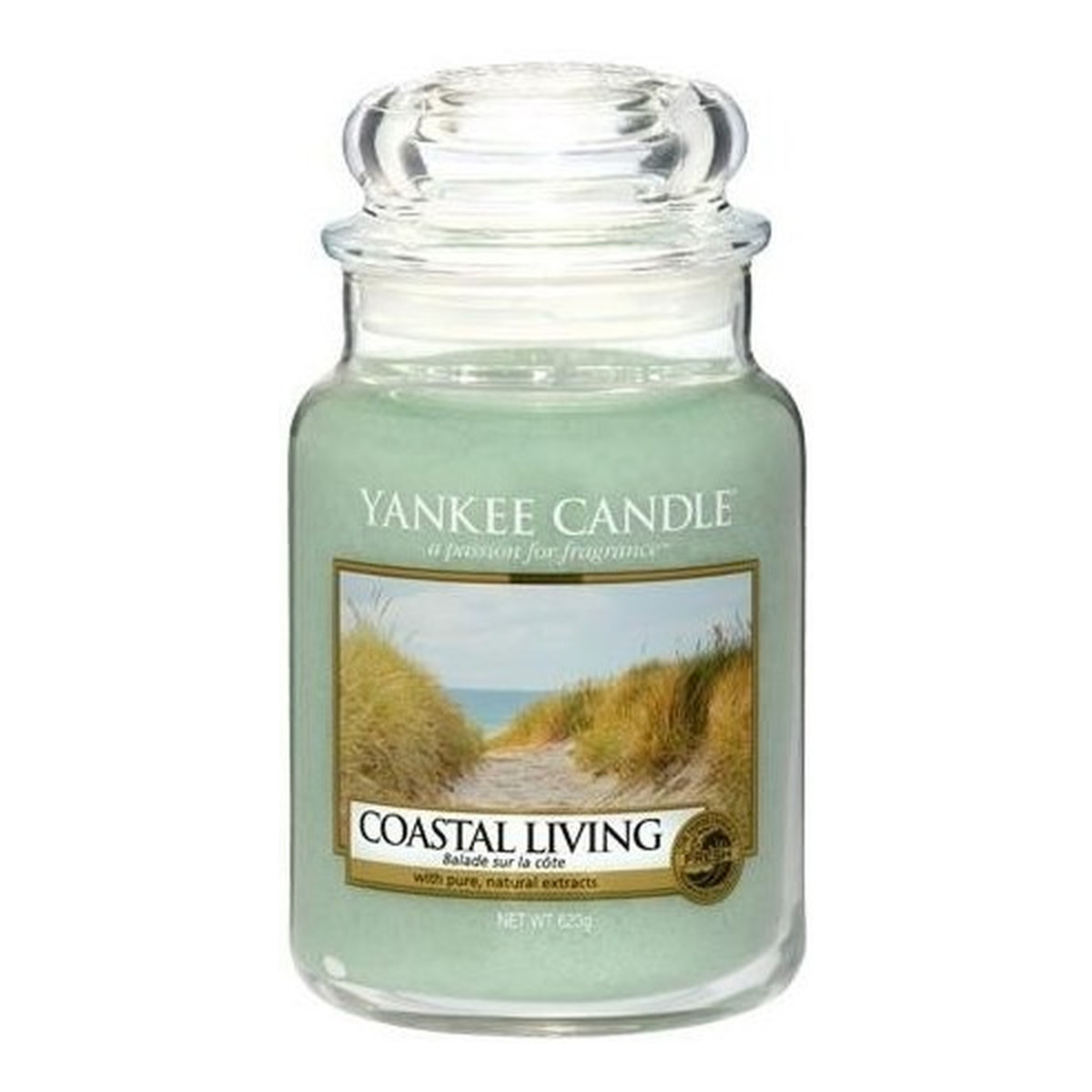 Yankee Candle Large Jar Duża świeczka zapachowa Coastal Living 623g