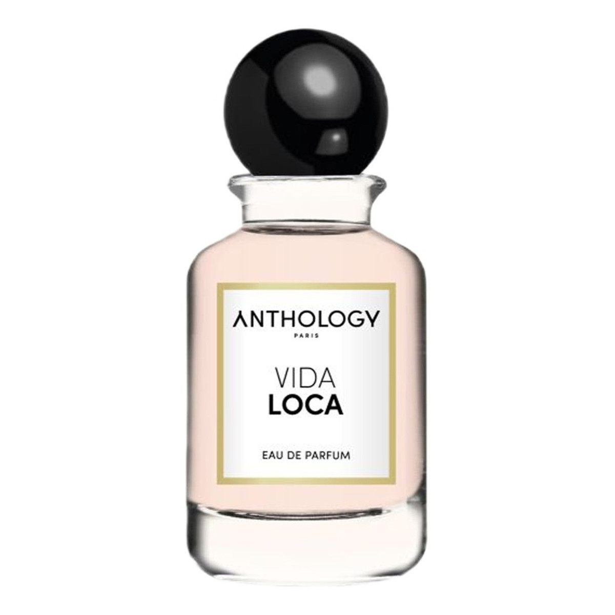 Anthology Vida Loca Woda perfumowana spray 100ml