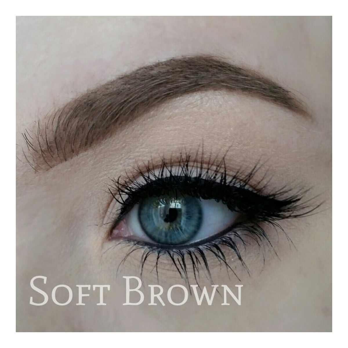 Freedom Makeup Pro Brow Pomade Pomada do brwi