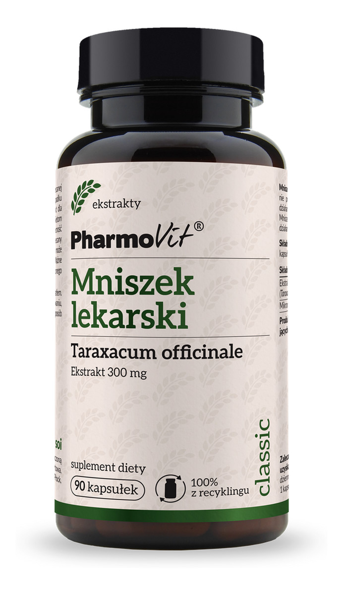 Mniszek Lekarski 300 mg suplement diety 90 kapsułek