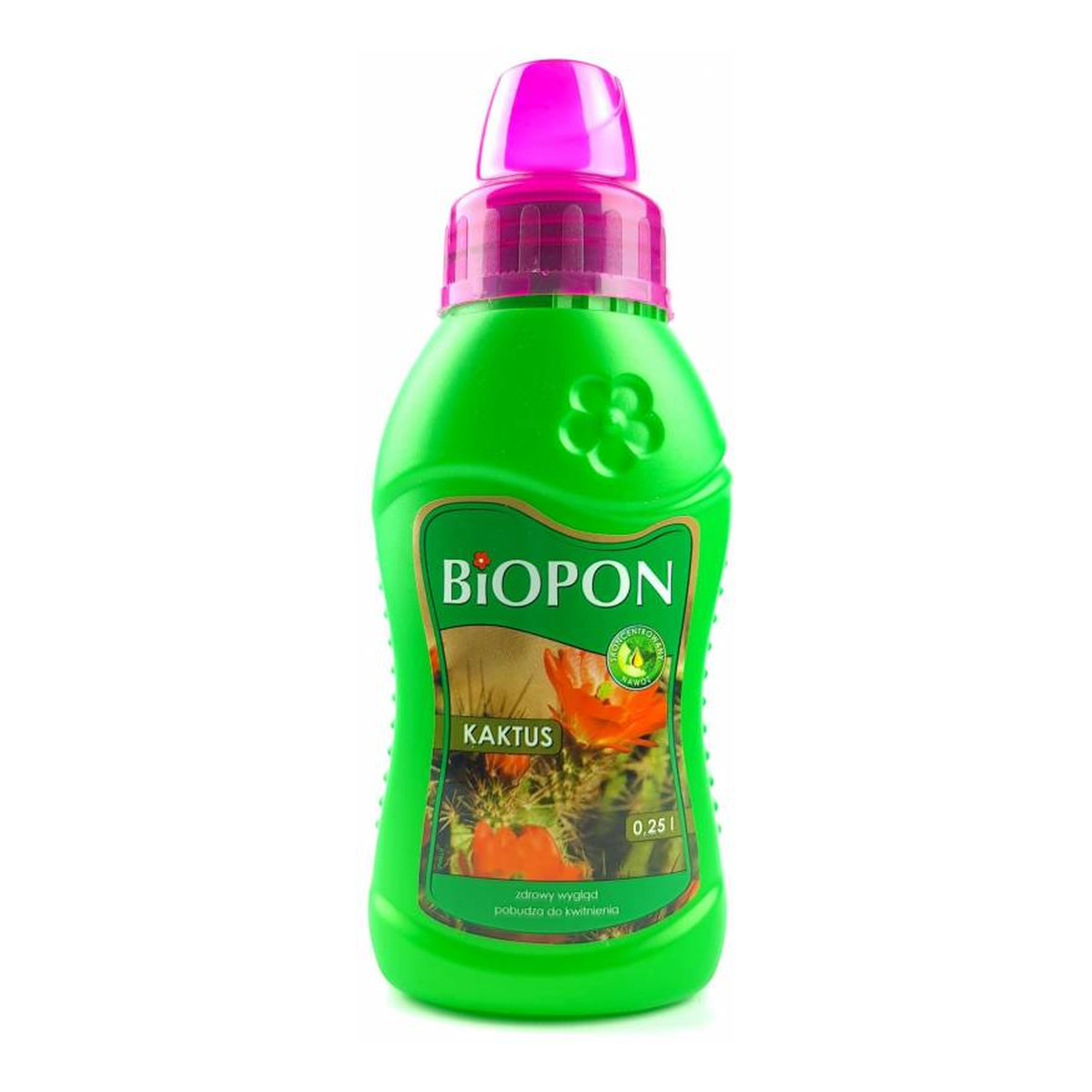 Biopon Nawóz do kaktusów 250ml
