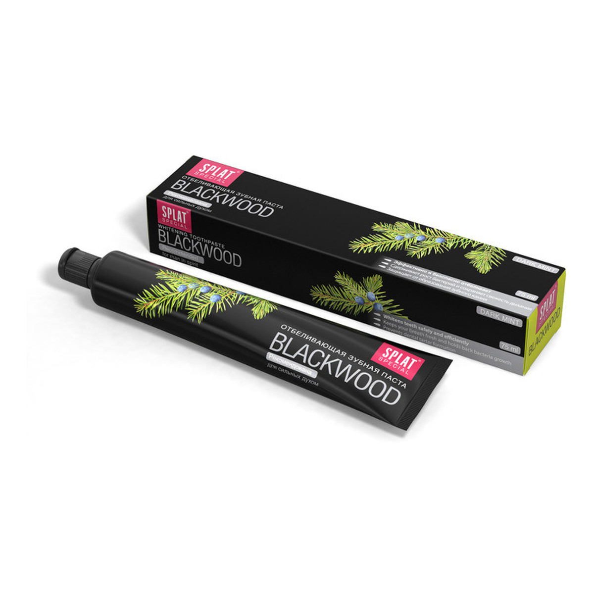 Splat Blackwood Special Czarna Pasta Do Zębów Silne Wybielanie i Normalizacja pH Jamy Ustnej 75ml
