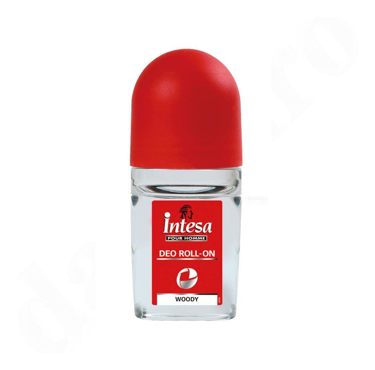 Antyperspirant Roll on 24h Woody